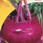 Semillas De Repollo Nabo De Viena Purpura