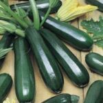 Semillas de Italiano Black Zucchini 100 Grs
