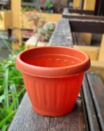 Terracota