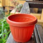 Macetero M6.5 redondo color Terracota