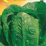 Semillas De Lechuga Romana Verde de los Ortolani