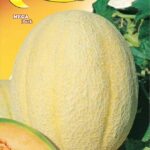 Semillas De Melón Retato Degli Ortolani