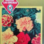 Semillas de Clavelón Enano Variado