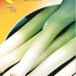 Semillas De Puerro Carentan 3