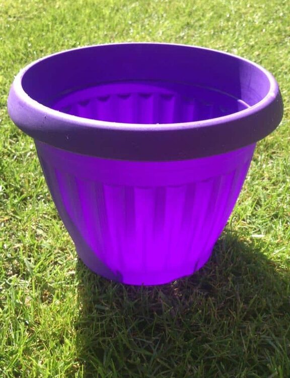 Macetero M6.5 redondo color Morado