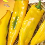 Semillas De Peperone Corno Di Toro Giallo