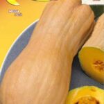 Semillas De Zapallo Butternut