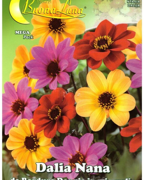 Semillas De Dalia Enana Doble Mix