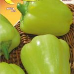 Semillas De Pimentón P14