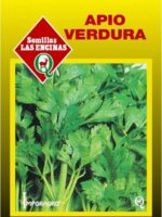 Semillas de Apio Verdura
