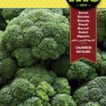 Semillas de Brocoli Calabrese 100 Grs