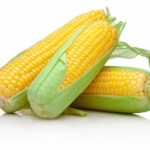 Semillas de Maíz Dulce Híb. Jubilee F-1 22.7 Kilos