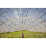 Plástico Invernadero Uv 2 T Tricapa Folio 2,00 Mts 150 Mic