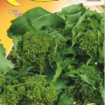 Semillas De Nabo Superior 60 ° Cabeza Grande