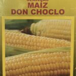 Semillas De Maíz Don Choclo 1 Kilo