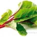 Acelga Verde Penca Roja 500 Grs