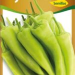 Semillas de Ají Cristal