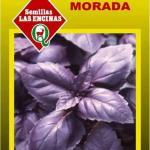 Albahaca Morada Huertos Alma