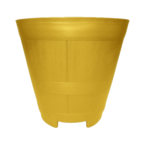 Dorado