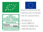 Semillas De Tomate Marmande - Imagen 2