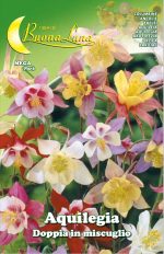 Semillas De Aquilegia Doble Mix