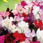 Semillas De Guisante De Olor Trepadora Mix