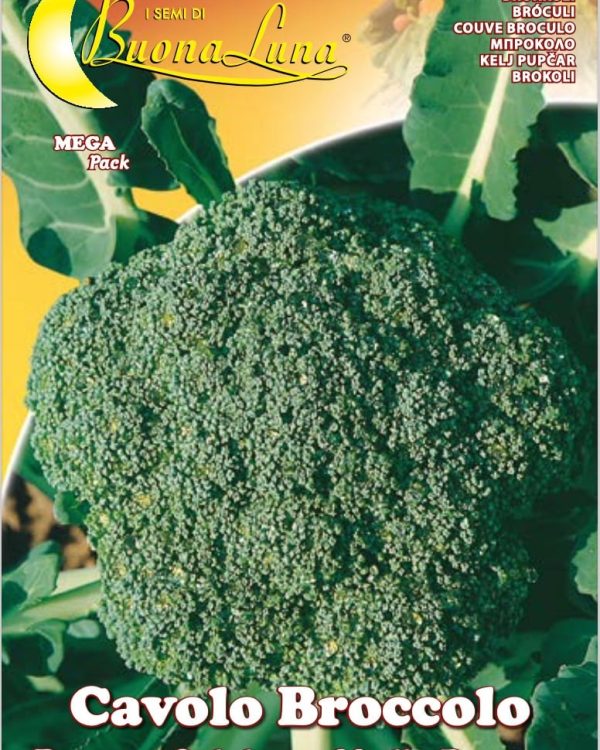 Semillas De Repollo Broccolo Calabrese Medio Precoce
