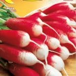 Semillas De Rábano Flamboyant 3