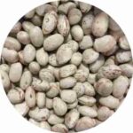 Poroto Cimarrón, Granado Vaina Colorada 1 Kilo