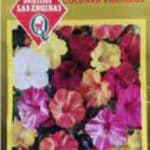 Semillas de Diego De La Noche