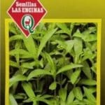 Semillas de Estragon