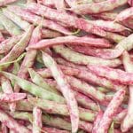 Semillas de Frejol Vaina Colorada Especial 25 Kilos