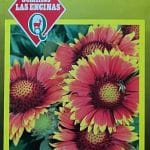 Semillas De Gallardía 