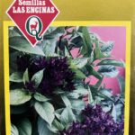 Semillas de Albahaca Siam Queen