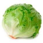 Semillas de Lechuga Escarola Arrepollada Grandes Lagos 118 500 Grs