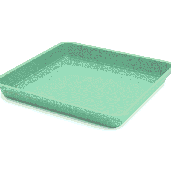 Menta