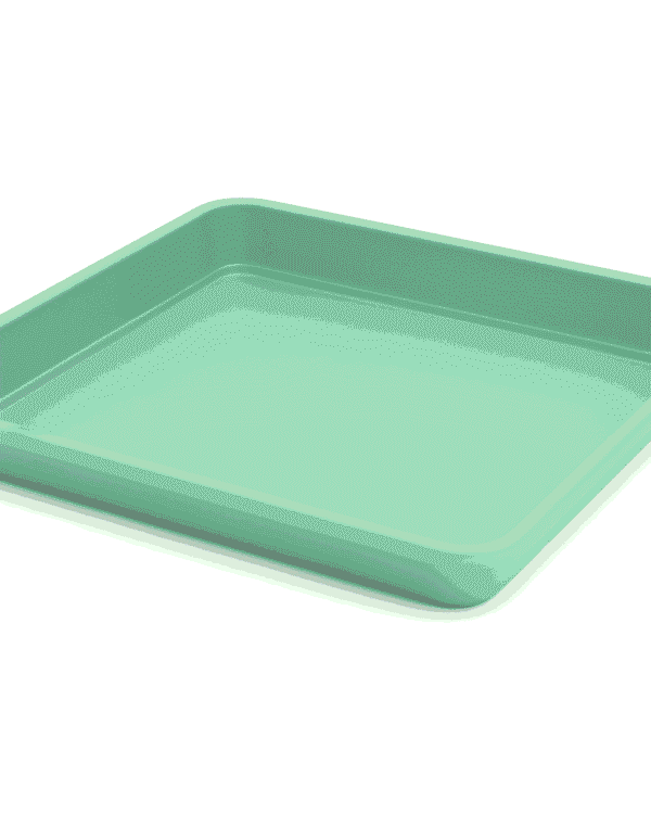 Menta