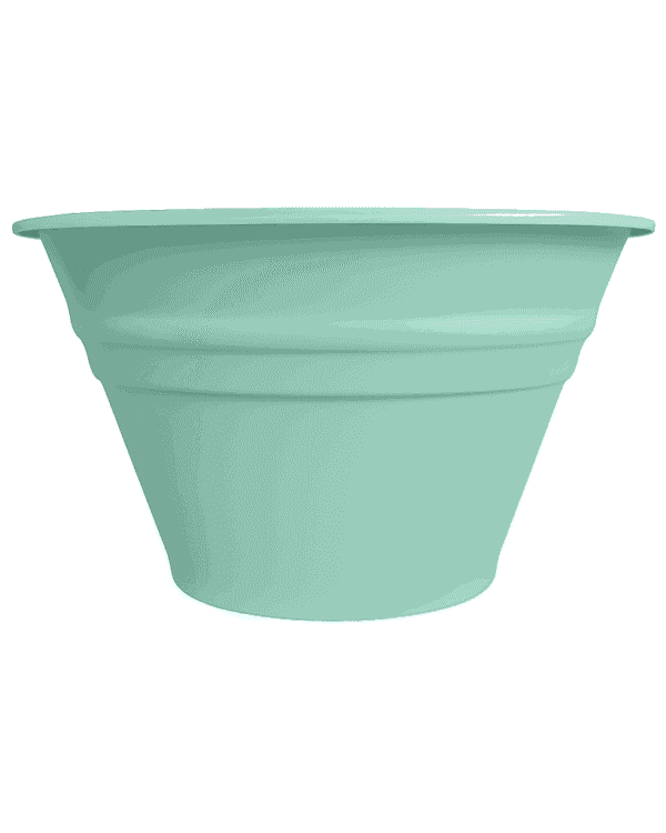 Menta