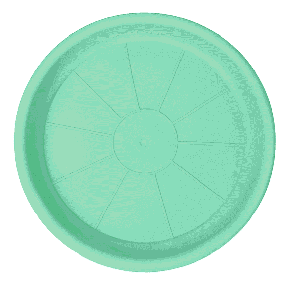 Menta