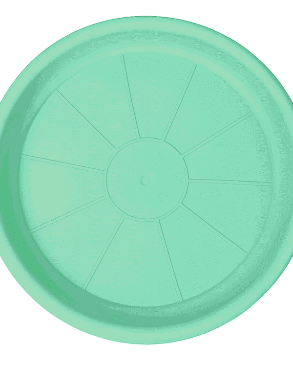 Menta