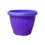 Morado