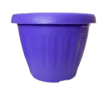 Morado