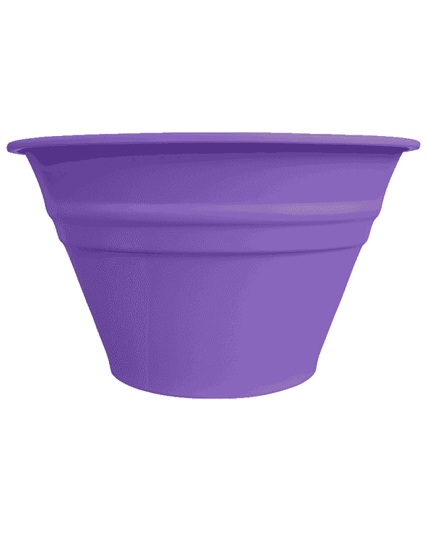 Morado