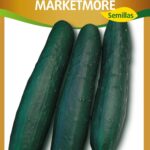 Semillas de Pepino Marketmore