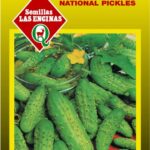 Semillas de Pepinillo National Pickling 500 Grs