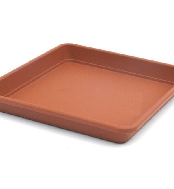 Terracota
