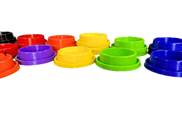 Plato Para Perros