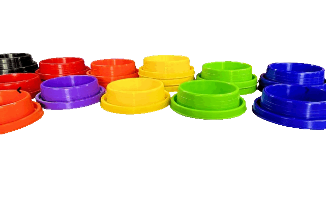 Plato Para Perros