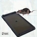 Trampa Pegajosa de Ratones