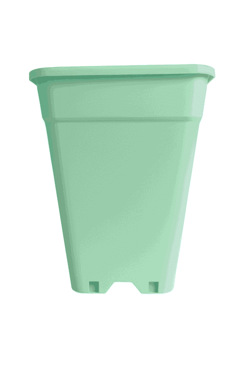 Menta